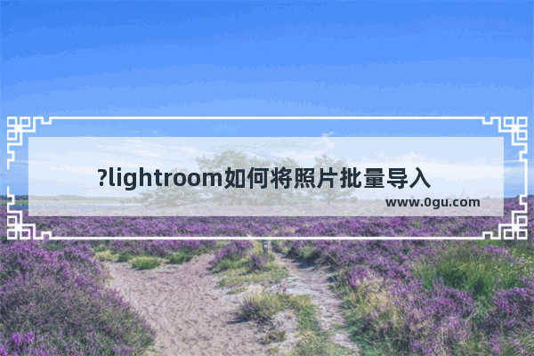 ?lightroom如何将照片批量导入 lr批量导入图片的方法教程