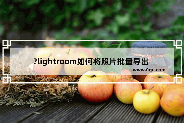 ?lightroom如何将照片批量导出 lr批量导出图片的方法教程