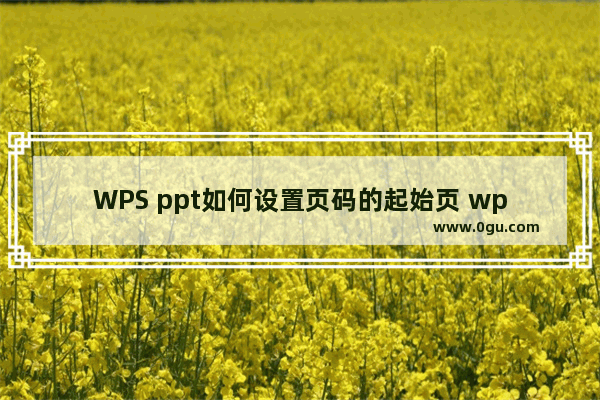 WPS ppt如何设置页码的起始页 wps ppt设置起始页码的方法