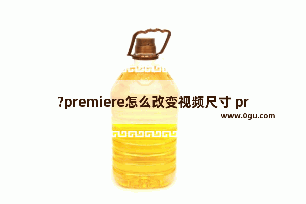 ?premiere怎么改变视频尺寸 pr调整画面尺寸的方法教程