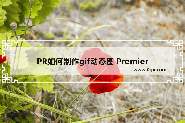 PR如何制作gif动态图 Premiere制作GIF动图的方法