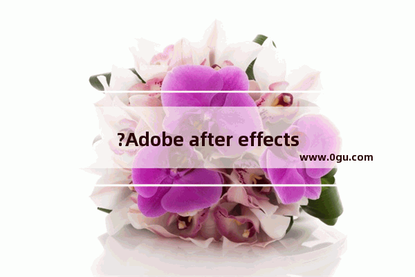 ?Adobe after effects倒放视频怎么弄 ae倒放视频的方法教程