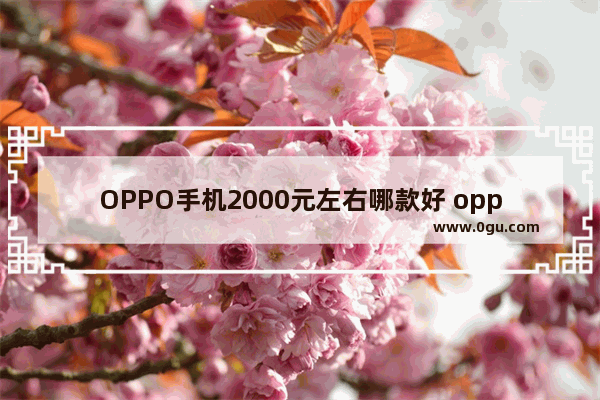 OPPO手机2000元左右哪款好 oppo手机买哪款好