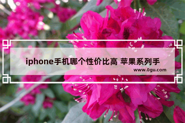 iphone手机哪个性价比高 苹果系列手机哪款最好用