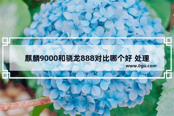 麒麟9000和骁龙888对比哪个好 处理器性能差距多大