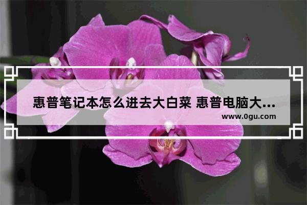 惠普笔记本怎么进去大白菜 惠普电脑大白菜u盘装系统教程