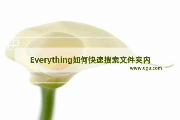 Everything如何快速搜索文件夹内容 Everything搜索指定文件夹的方法