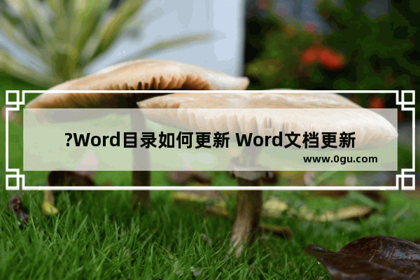 ?Word目录如何更新 Word文档更新自动目录的操作方法