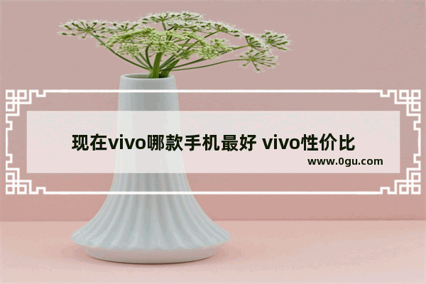 现在vivo哪款手机最好 vivo性价比最高的手机