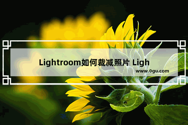 Lightroom如何裁减照片 Lightroom裁减照片的方法