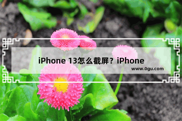 iPhone 13怎么截屏？iPhone 13截屏方法教程