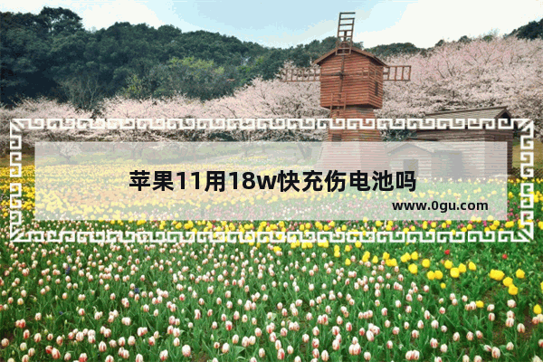 苹果11用18w快充伤电池吗