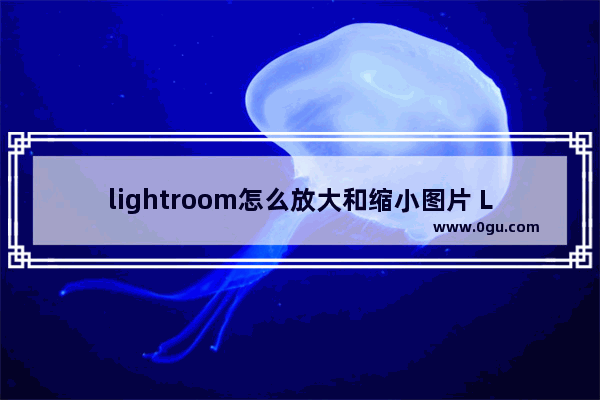 lightroom怎么放大和缩小图片 Lightroom放大和缩小照片的方法