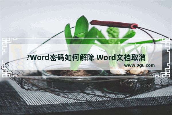 ?Word密码如何解除 Word文档取消密码的方法教程