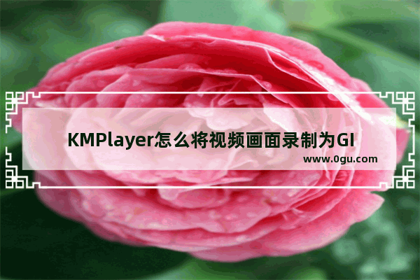 KMPlayer怎么将视频画面录制为GIF动图 KMPlayer将视频画面录制为GIF动图的方法