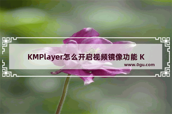 KMPlayer怎么开启视频镜像功能 KMPlayer开启视频镜像功能的方法