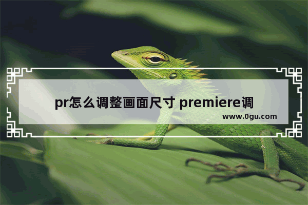 pr怎么调整画面尺寸 premiere调整视频画面尺寸大小的方法