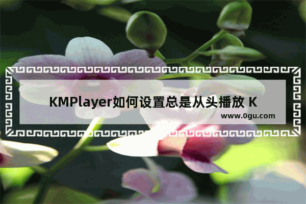 KMPlayer如何设置总是从头播放 KMPlayer设置总是从头播放的方法