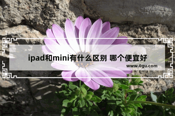 ipad和mini有什么区别 哪个便宜好用值得入手