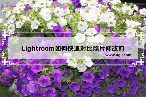 Lightroom如何快速对比照片修改前后 Lightroom快速对比修改前后照片的方法