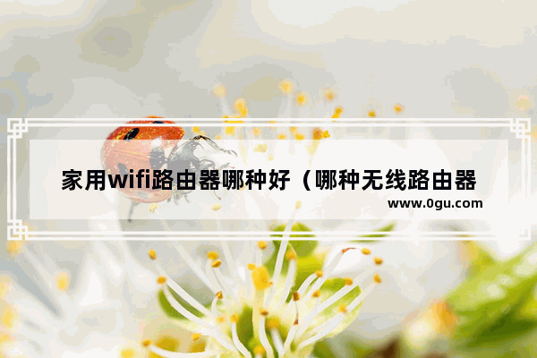 家用wifi路由器哪种好（哪种无线路由器穿墙好）