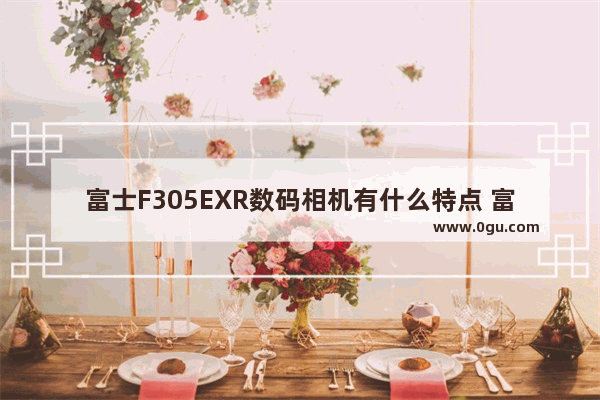 富士F305EXR数码相机有什么特点 富士F305EXR数码相机产品特点介绍