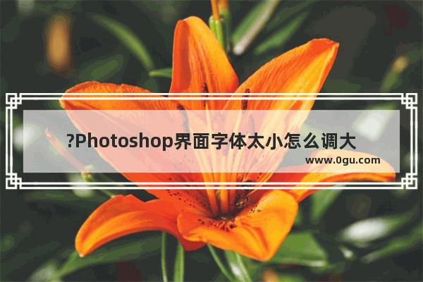 ?Photoshop界面字体太小怎么调大 PS解决窗口字体很小看不见的方法教程