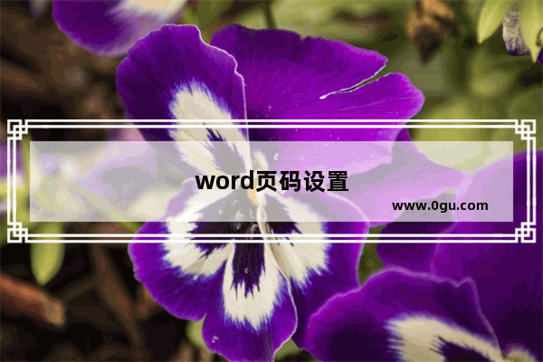 word页码设置