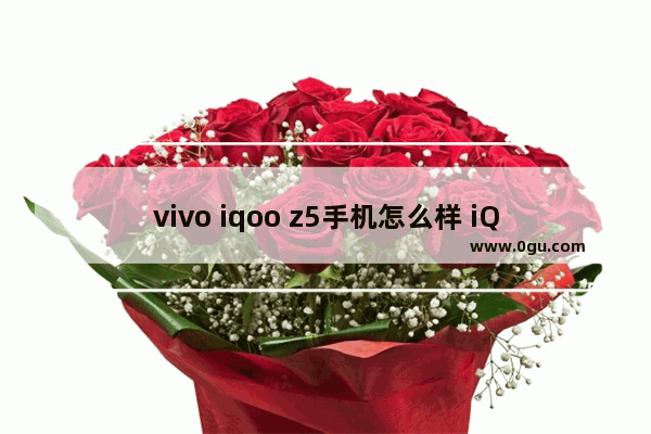 vivo iqoo z5手机怎么样 iQOO Z5手机评测体验