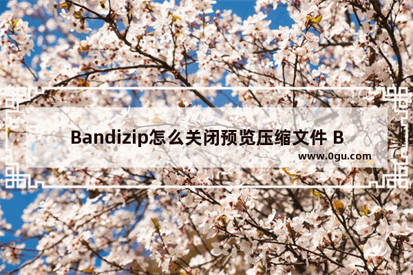 Bandizip怎么关闭预览压缩文件 Bandizip关闭预览压缩文件的方法