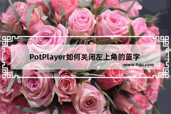 PotPlayer如何关闭左上角的蓝字 PotPlayer将左上角的蓝字去掉的方法