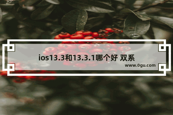 ios13.3和13.3.1哪个好 双系统iOS 13.3和13.3.1安装建议