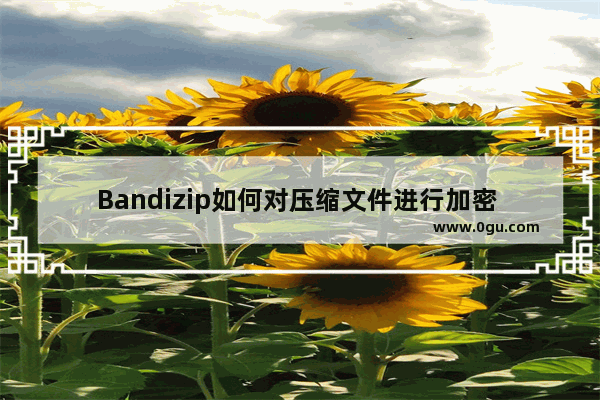 Bandizip如何对压缩文件进行加密 Bandizip加密压缩文件的方法