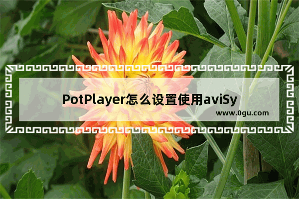 PotPlayer怎么设置使用aviSynth滤镜 PotPlayer添加aviSynth滤镜的方法