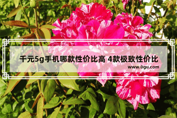 千元5g手机哪款性价比高 4款极致性价比千元5G手机