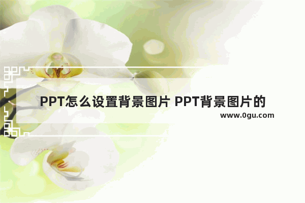 PPT怎么设置背景图片 PPT背景图片的设置方法