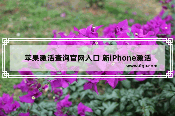 苹果激活查询官网入口 新iPhone激活时间查询