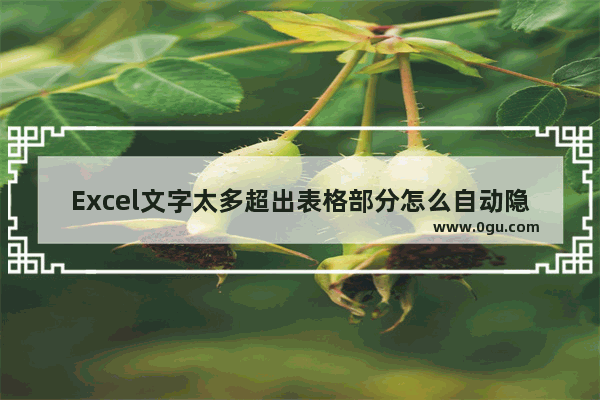 Excel文字太多超出表格部分怎么自动隐藏 Excel文字太多超出表格自动隐藏的方法