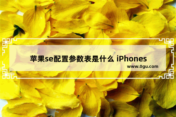 苹果se配置参数表是什么 iPhonese配置参数汇总一览