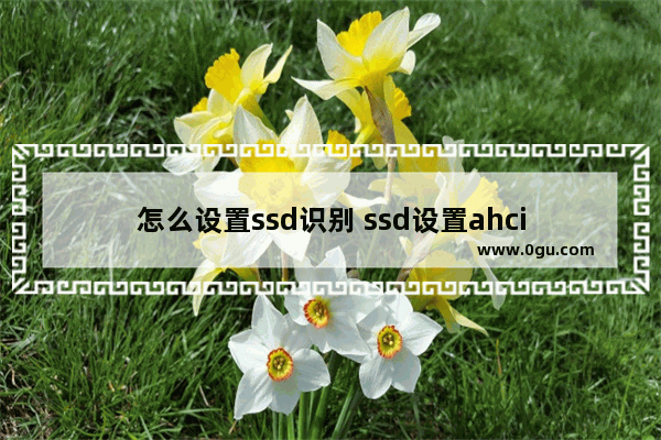 怎么设置ssd识别 ssd设置ahci