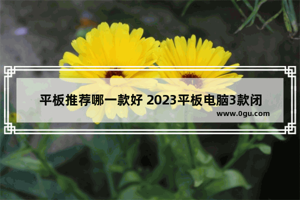 平板推荐哪一款好 2023平板电脑3款闭眼入