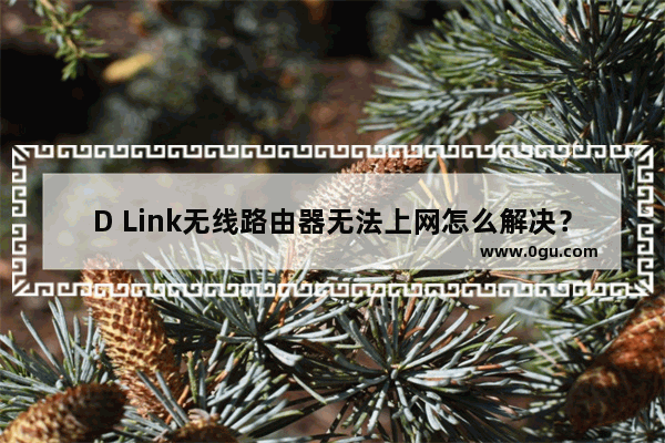 D Link无线路由器无法上网怎么解决？