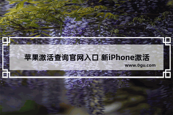 苹果激活查询官网入口 新iPhone激活时间查询