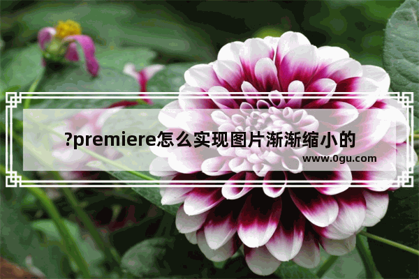 ?premiere怎么实现图片渐渐缩小的效果 pr让图片逐渐缩小到消失的方法教程