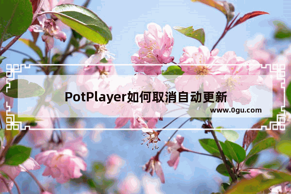 PotPlayer如何取消自动更新