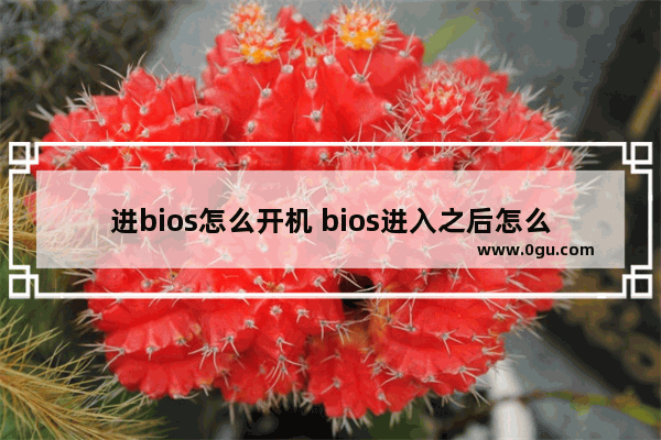 进bios怎么开机 bios进入之后怎么操作