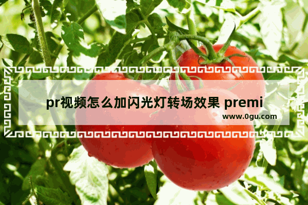 pr视频怎么加闪光灯转场效果 premiere视频加闪光灯转场效果的方法