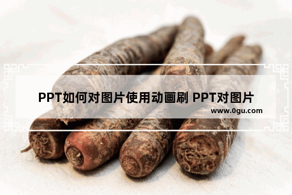 PPT如何对图片使用动画刷 PPT对图片使用动画刷的方法