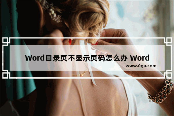 Word目录页不显示页码怎么办 Word目录页不显示页码的解决方法