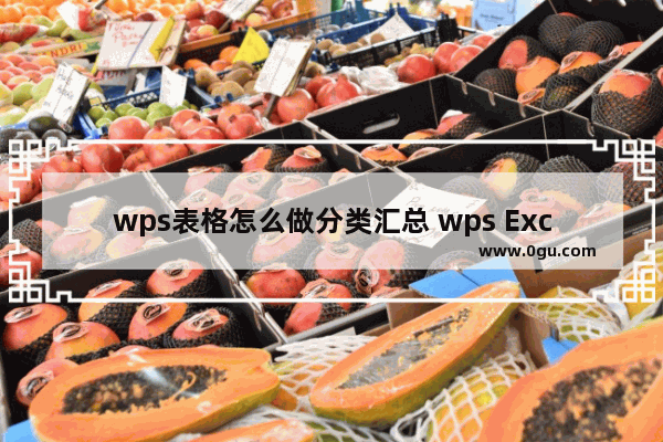 wps表格怎么做分类汇总 wps Excel把数据进行分类汇总的方法